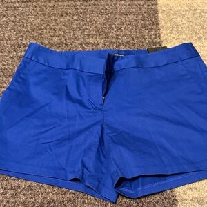 Express Royal Blue Women's Shorts